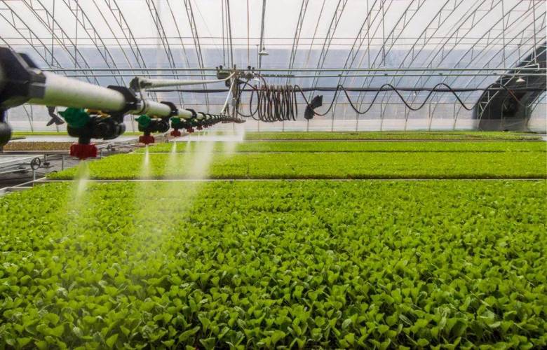 想找农业种植技术视频,去哪里看最全?-图1 想找农业种植技术视频,去哪里看最全?-图1