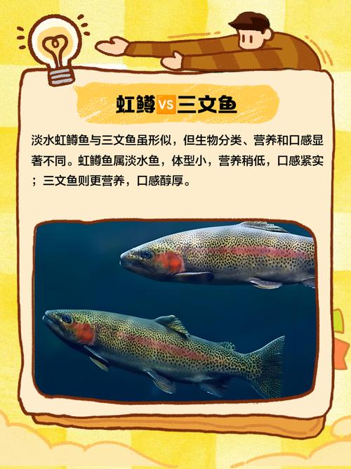 淡水虹鳟养殖技术视频怎么学？-图2