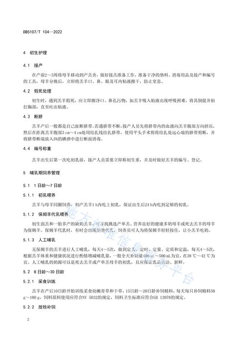 羔羊饲养管理有哪些技术要点？-图1