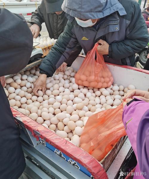 今日温县鸡蛋价格多少？-图2