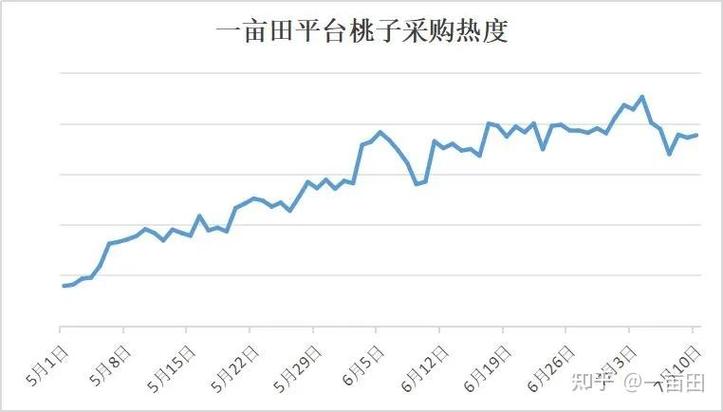 浙江桃子价格最新行情-图1