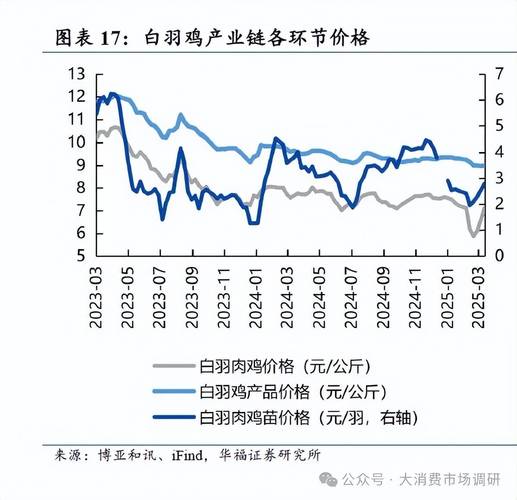 2025山东毛鸡价格会涨还是跌？-图3