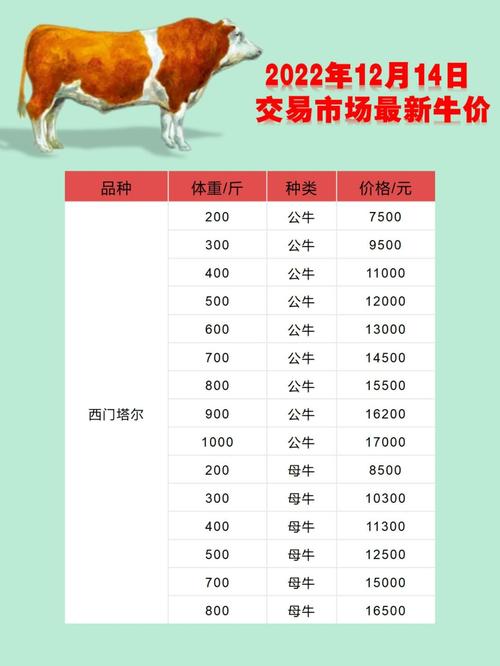 河南西门塔尔牛犊价格多少钱一头？-图1