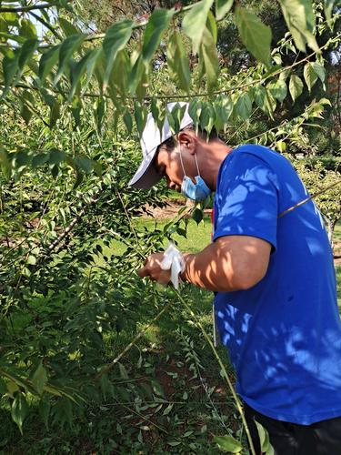 嫁接技术创业，如何从案例走向成功？-图1