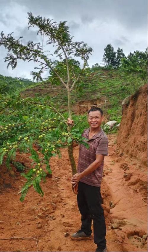 嫁接技术创业，如何从案例走向成功？-图3