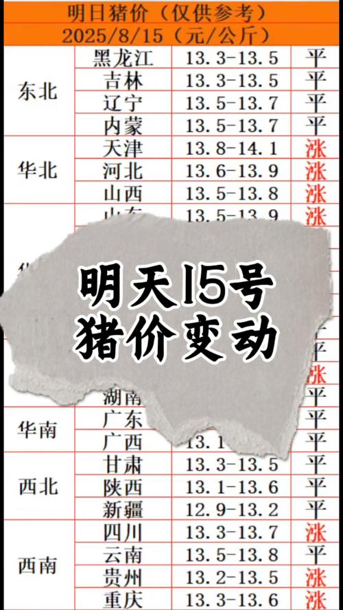 生猪17小猪价格多少？-图1