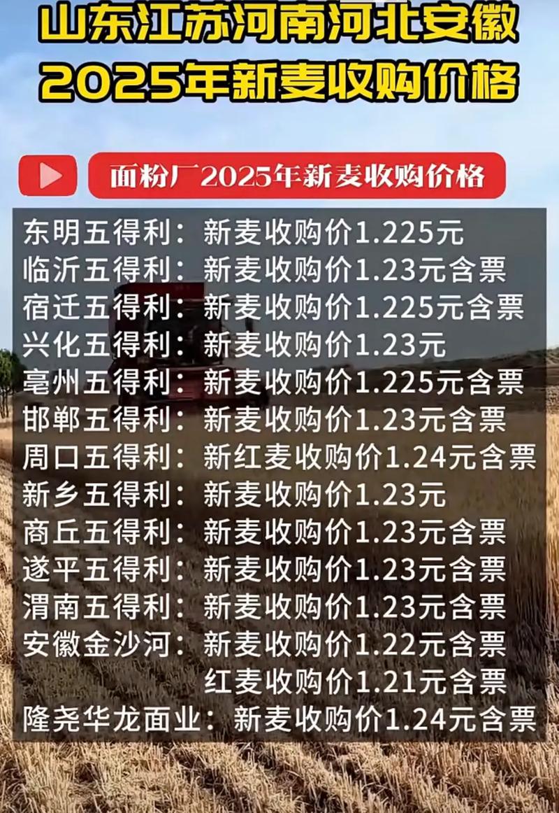 2025新麦价格政策会调整吗？-图1