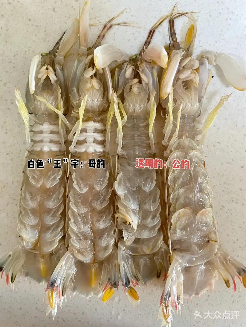 2025威海爬虾价格会涨还是跌？-图2