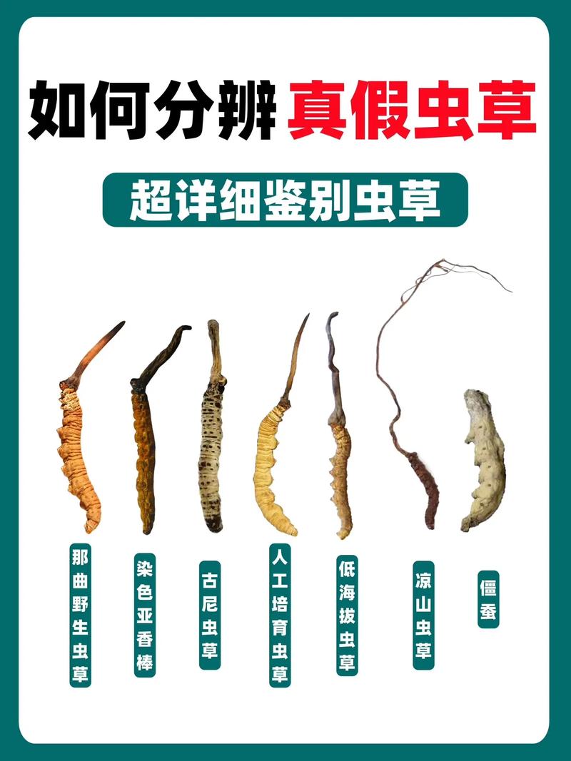 虫虫草水产养殖技术如何掌握?-图2 虫虫草水产养殖技术如何掌握?-图2