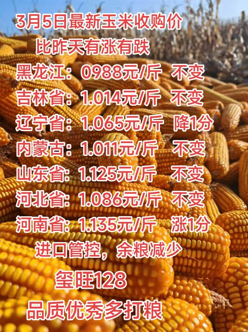 赤峰收购谷子今日价格-图1 赤峰收购谷子今日价格-图1