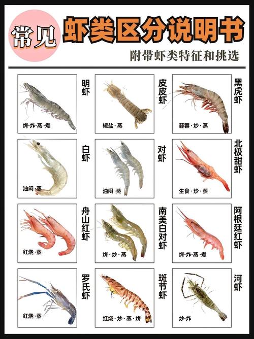 哪种淡水虾个头最大?-图1 哪种淡水虾个头最大?-图1