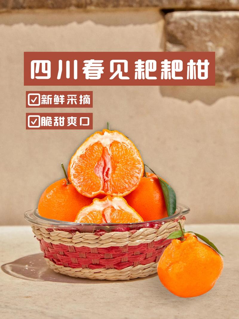 四川柑橘新品种有哪些?-图1 四川柑橘新品种有哪些?-图1