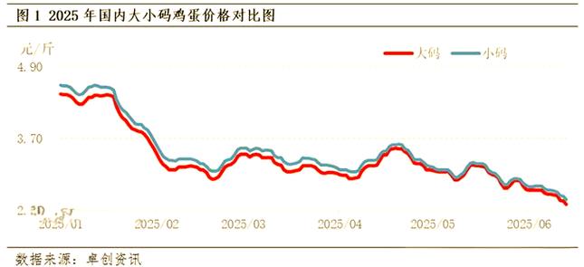 广东鸡蛋2025年价格会涨还是跌？-图2