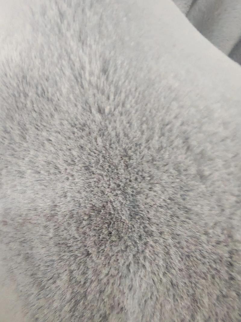 兔毛2025价格会涨还是跌？-图3