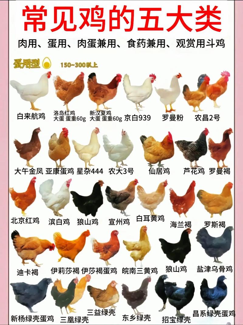 珍禽养殖品种知多少？-图1