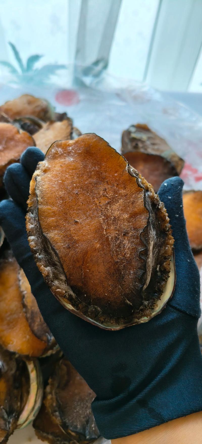 2025鲍鱼价格会涨还是跌？-图1