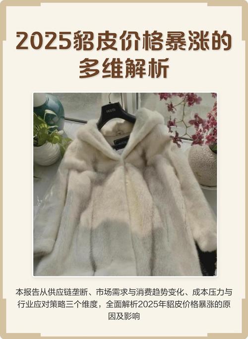 2025国产貂皮价格会涨还是跌？-图1