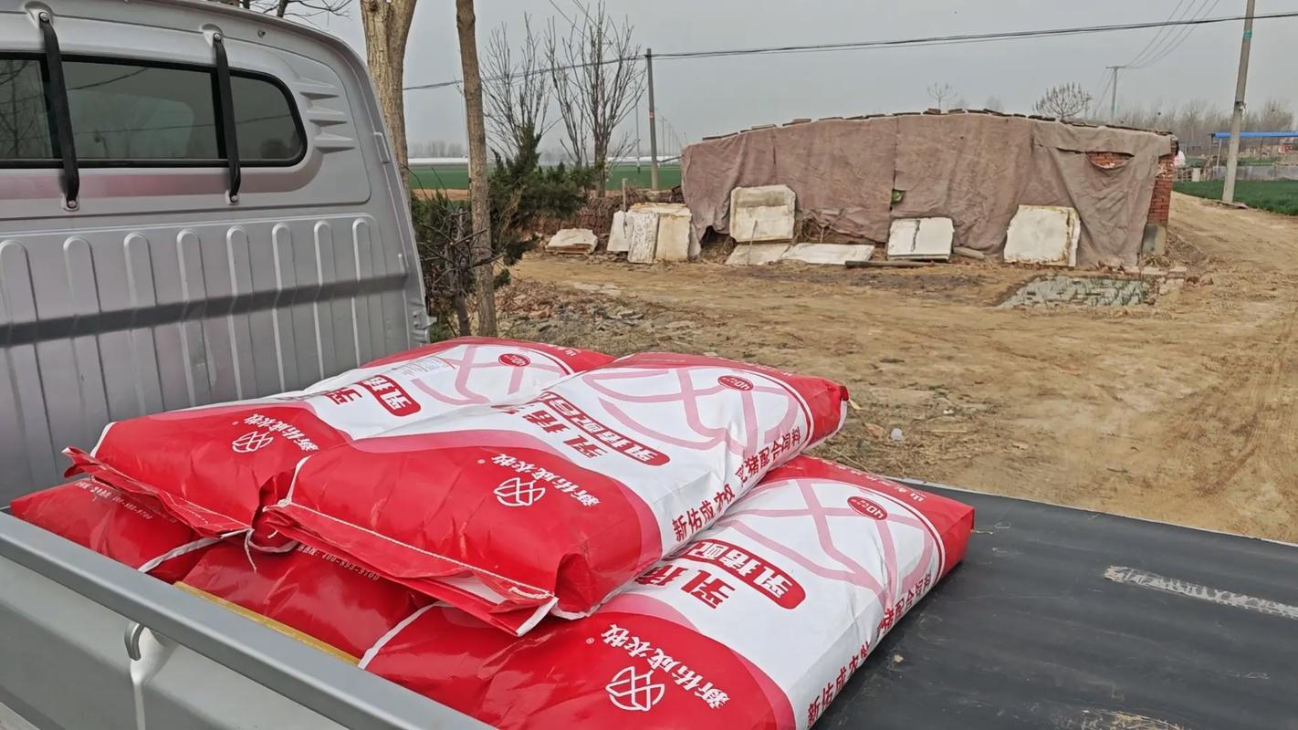 猪的青饲料有哪些品种-图1