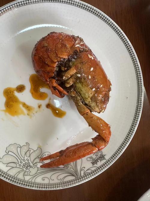 中国养殖龙虾技术视频如何学？-图2