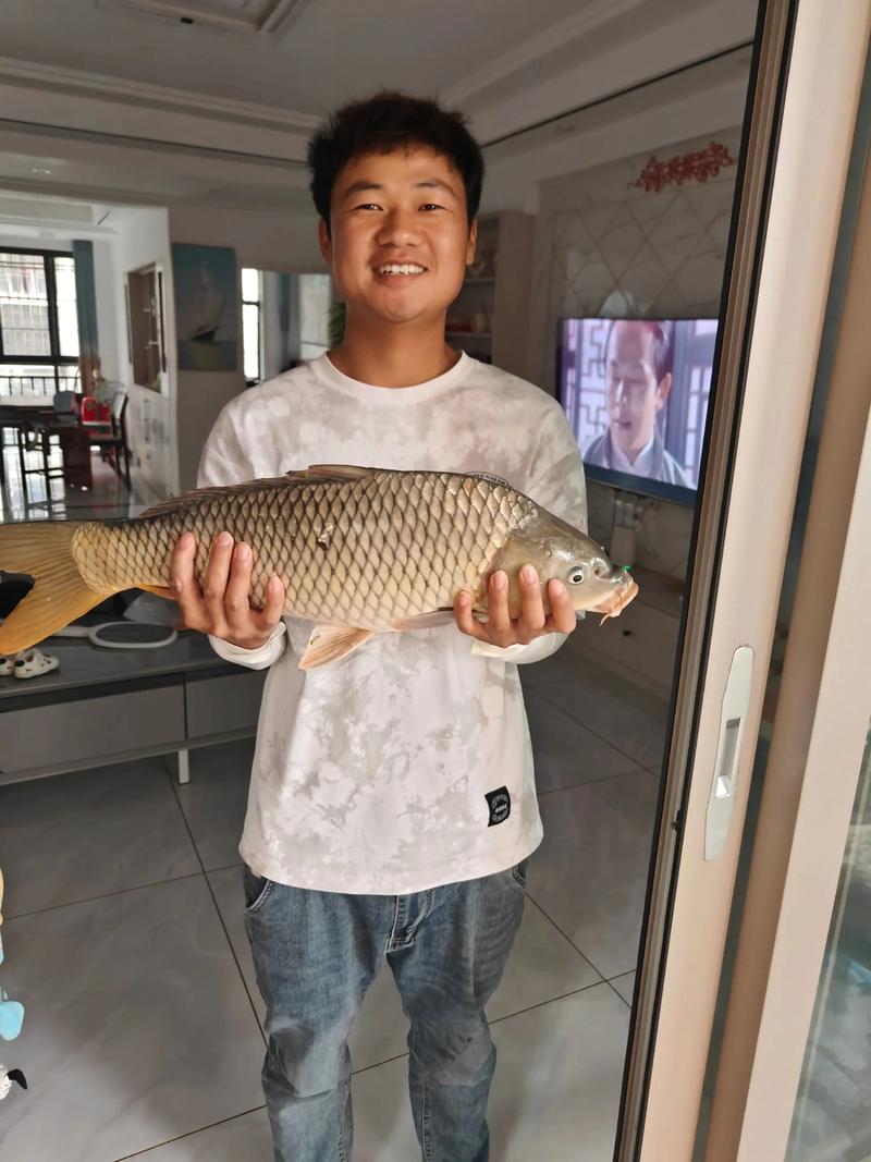 宿迁2025鲤鱼价格会涨还是跌?-图2 宿迁2025鲤鱼价格会涨还是跌?-图2