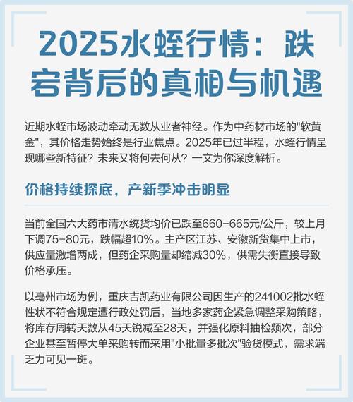 河南水蛭2025价格会涨还是跌？-图1