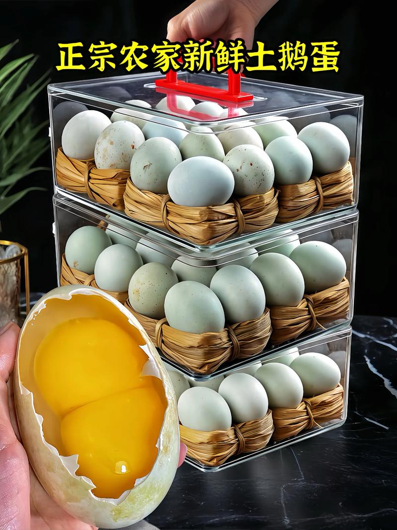 2025鹅蛋价格会涨还是跌？-图2