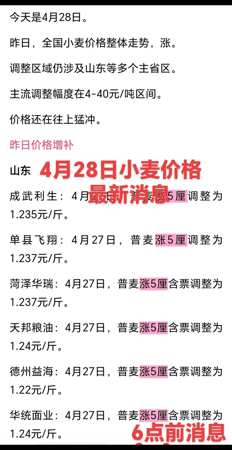 2025安徽小麦价格会涨还是跌？-图1