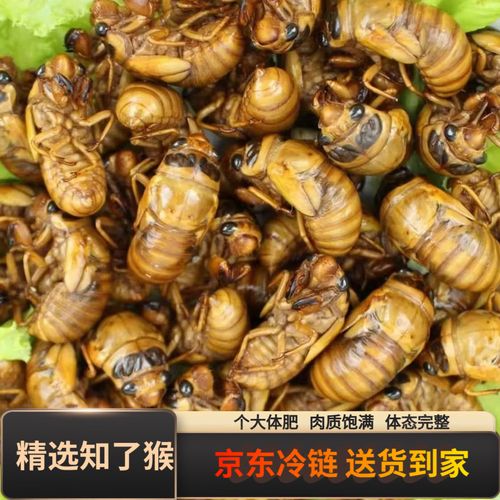 2025临沂金蝉价格会涨还是跌？-图2