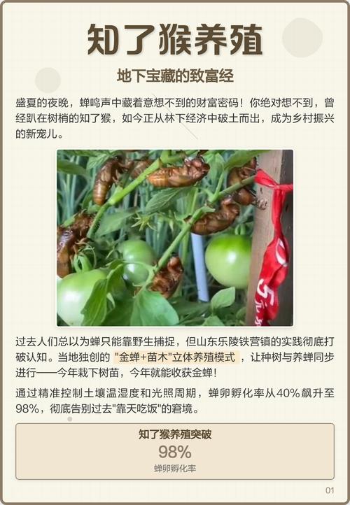 知了 蝉怎么养殖技术-图1