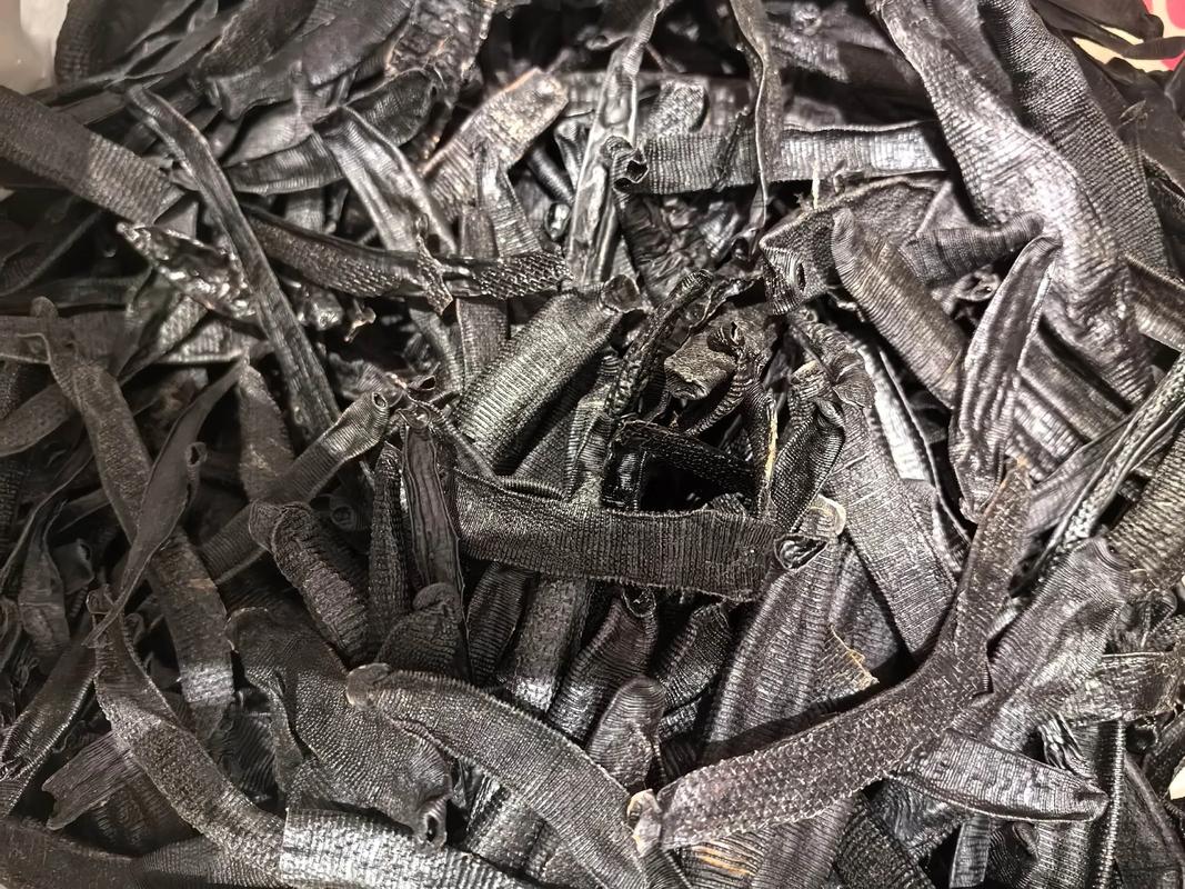 2025年水蛭活体价格会涨还是跌？-图1