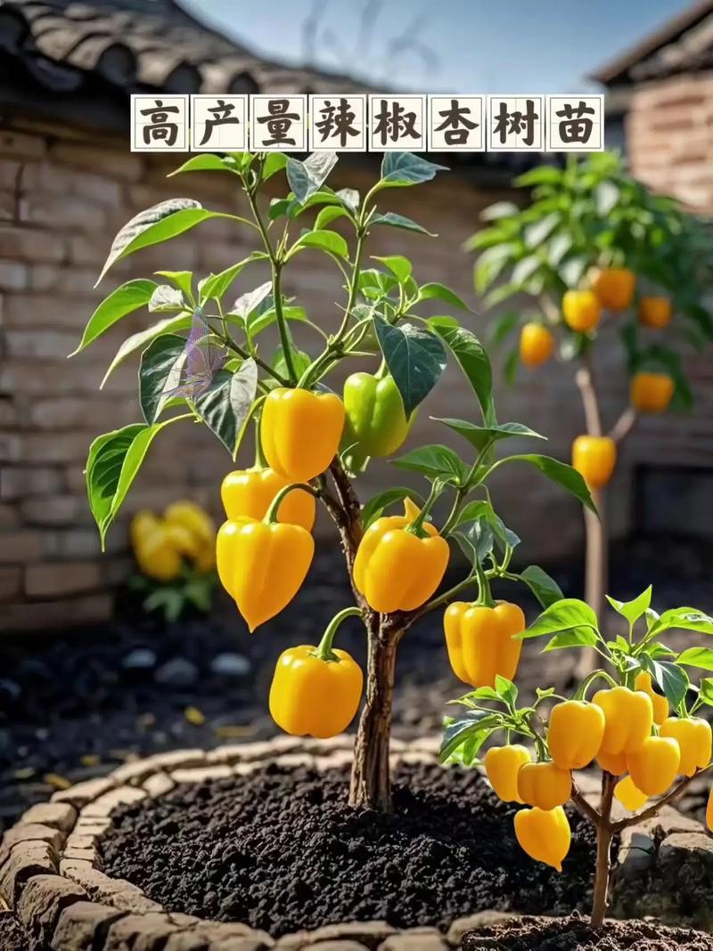 作物高产技术有哪些关键方法？-图2