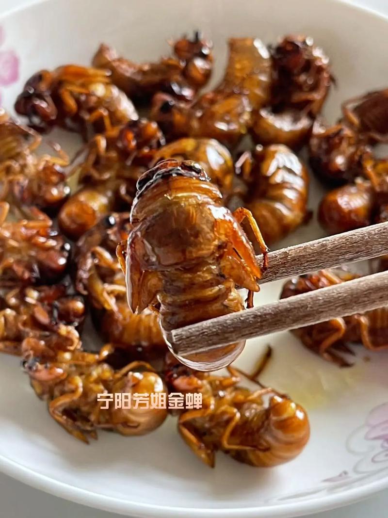 金蝉阳信2025价格会涨还是跌？-图2