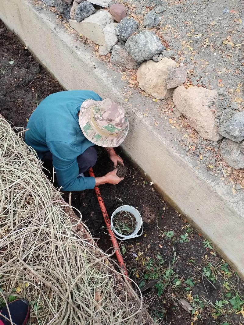 冬季野外捕捉青虾技术-图2