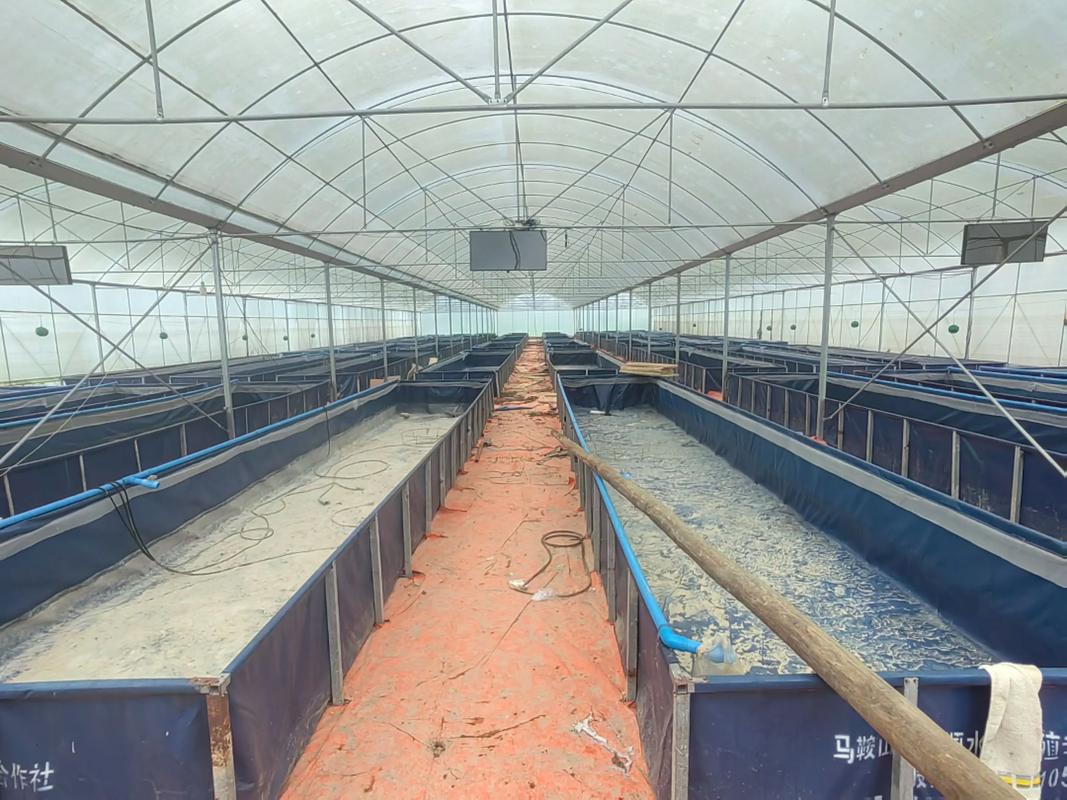 水产温棚养殖技术视频,如何快速掌握核心要点?-图2 水产温棚养殖技术视频,如何快速掌握核心要点?-图2