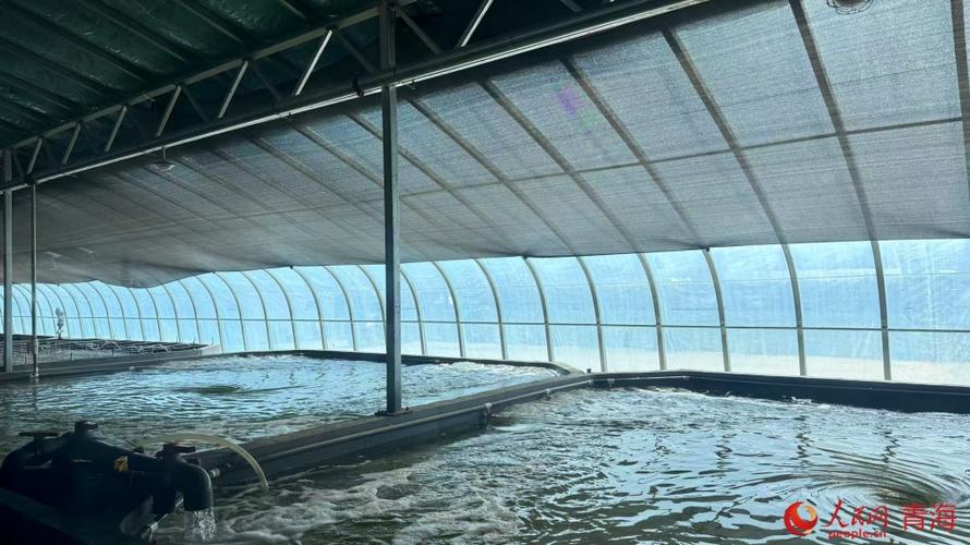 水产温棚养殖技术视频,如何快速掌握核心要点?-图3 水产温棚养殖技术视频,如何快速掌握核心要点?-图3