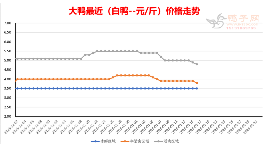 2025鸭苗价格会涨还是跌？-图1