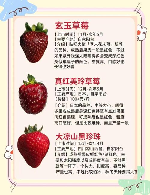 草莓品种图片集收录了多少品种？-图1