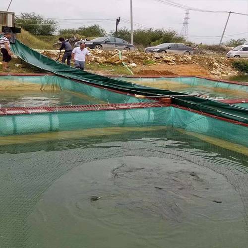 长江螃蟹网箱养殖技术有哪些要点?-图2 长江螃蟹网箱养殖技术有哪些要点?-图2