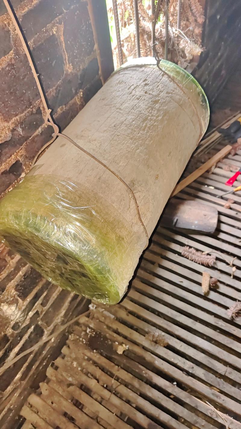 中华蜜蜂养殖技术要点有哪些？-图2