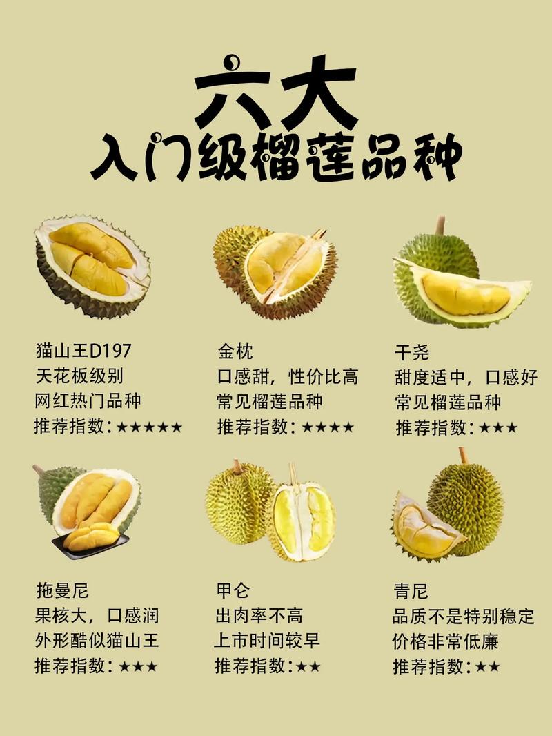 现在榴莲是什么品种？-图1