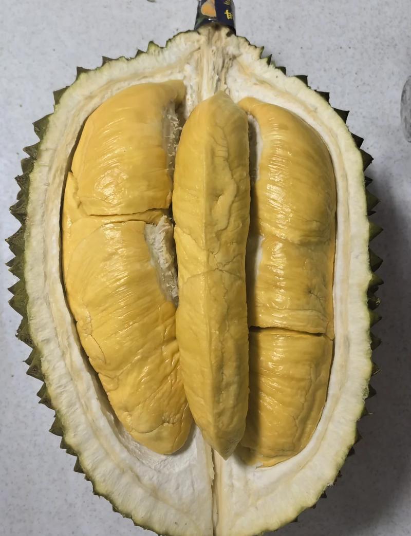 现在榴莲是什么品种？-图2