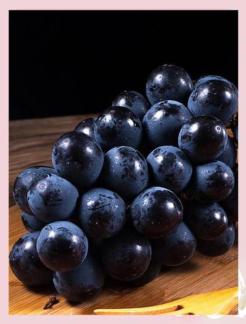 黑色葡萄有哪些常见品种？-图1