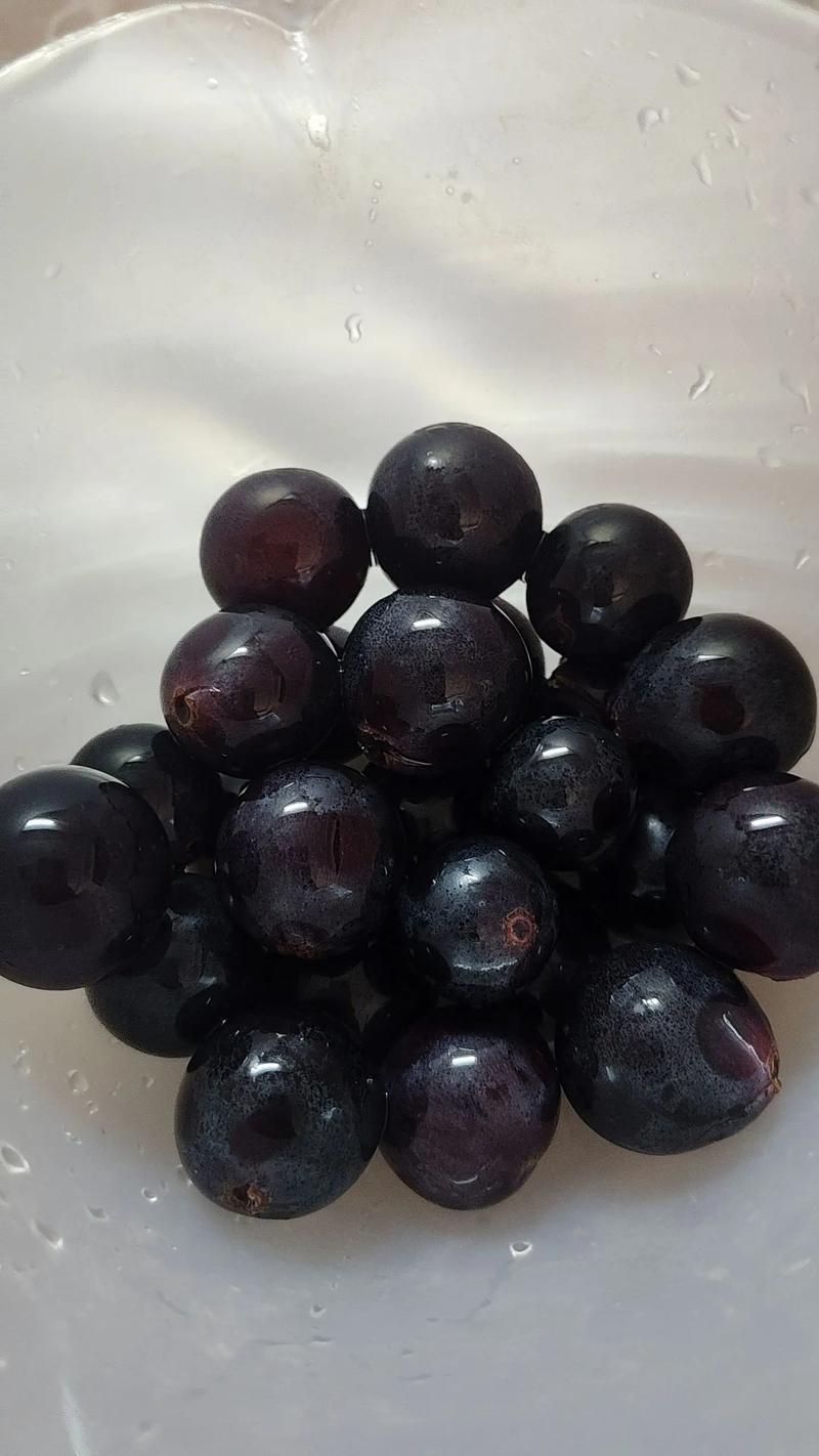 黑色葡萄有哪些常见品种？-图2