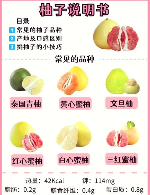 柚子品种这么多,哪种最适合你?-图1 柚子品种这么多,哪种最适合你?-图1