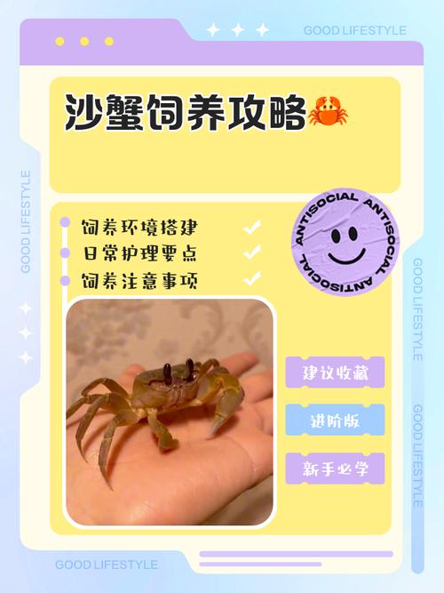 螃蟹池塘养殖有哪些关键技术要点？-图2