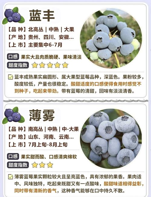 北方种蓝莓，哪些品种最合适？-图1