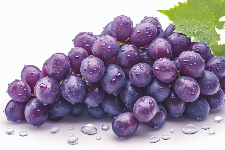 紫色葡萄有核的是什么品种？-图2