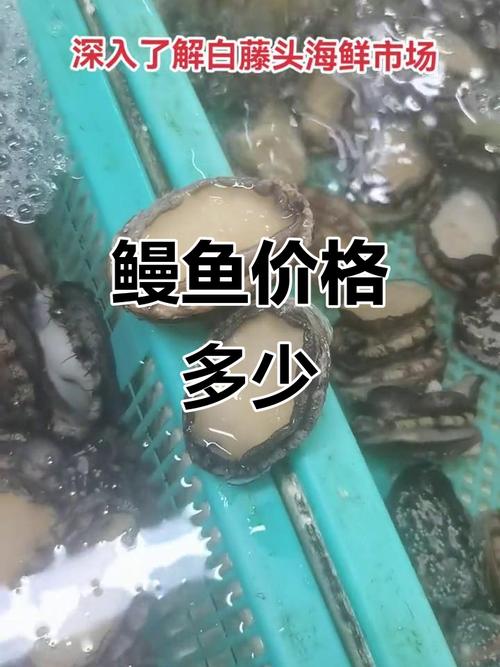 2025杭州鳗鱼价格会涨还是跌？-图1