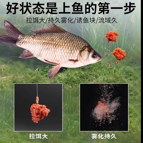 广东鲫鱼2025年价格会涨还是跌？-图2