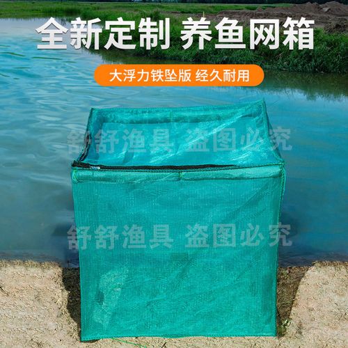 黄鳝网箱育苗技术要点有哪些？-图2